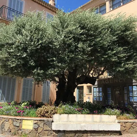 Bastide Du Levant - 50m - Rez De Jardin